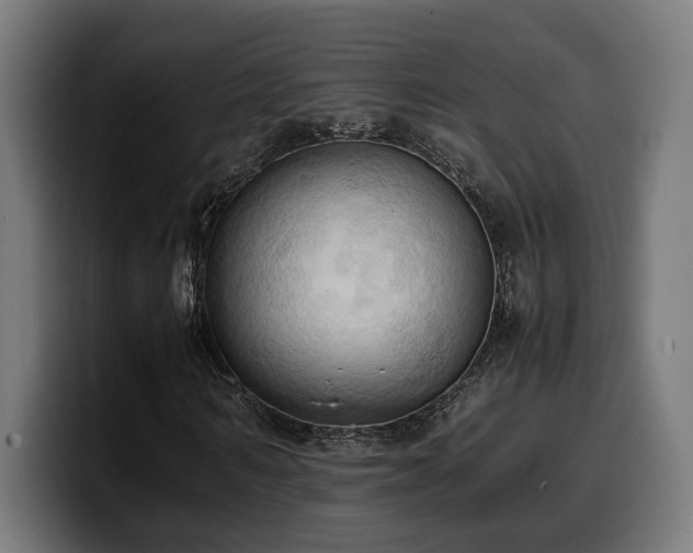 X0000100480962200806131227
