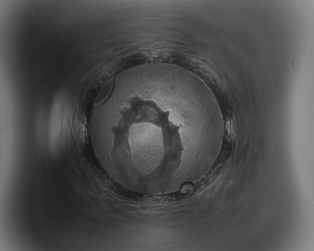 X0000100480963200806131227