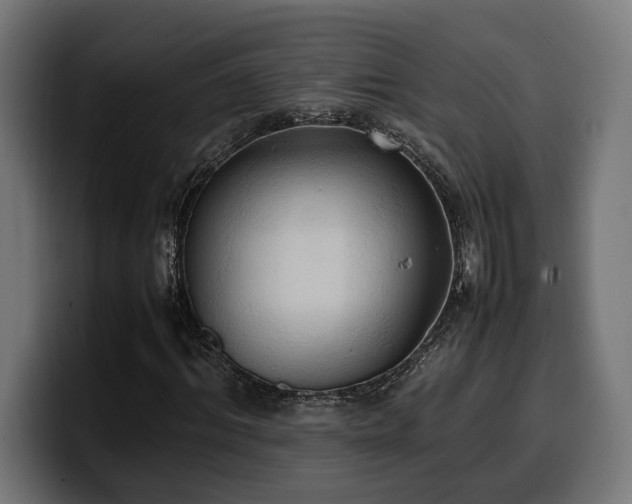 X0000100480964200806131227