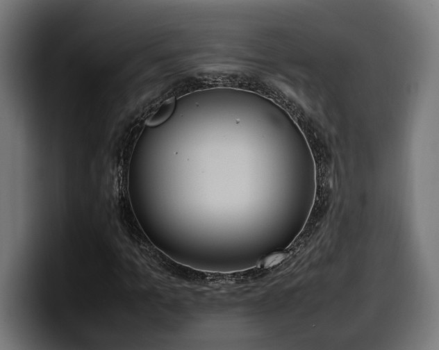 X0000100480965200806131227