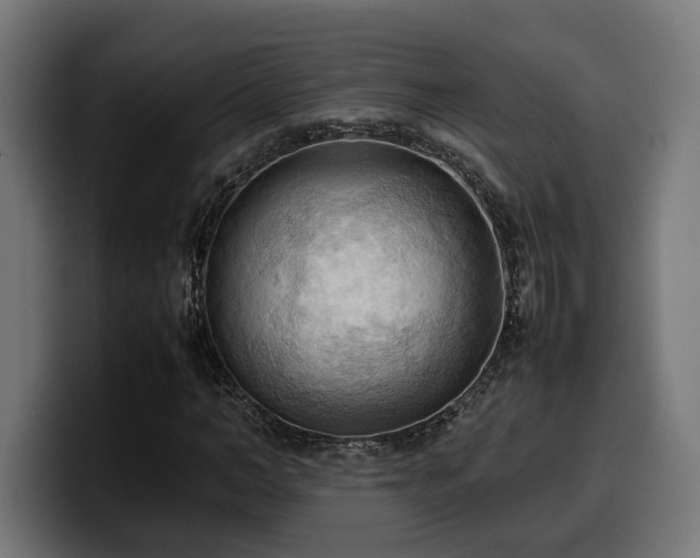 X0000100480966200806131227