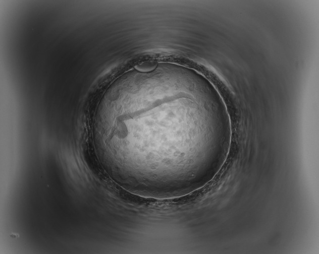 X0000100480967200806131227