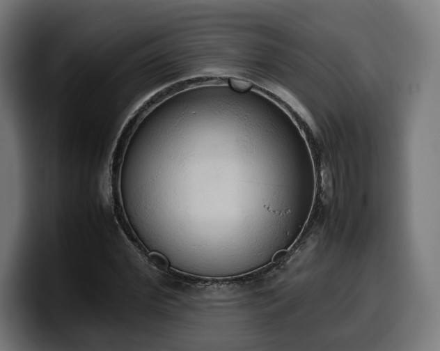 X0000100480972200806131227
