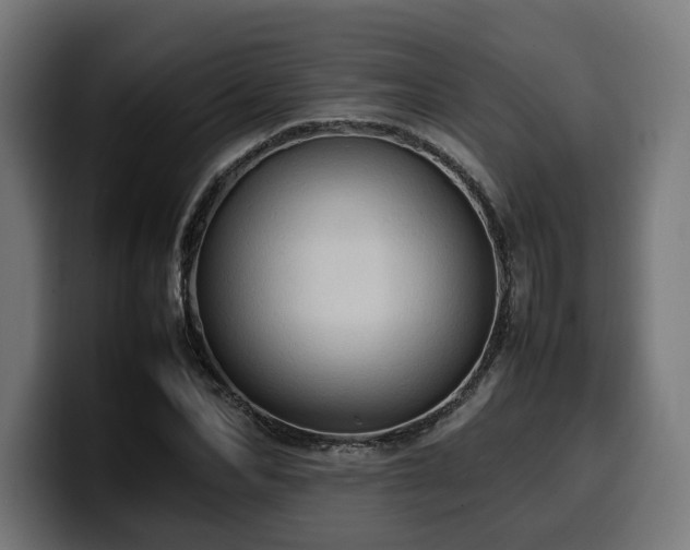 X0000100480974200806131227