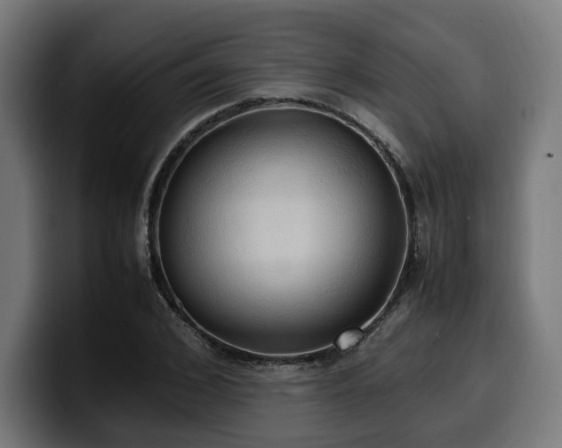 X0000100480976200806131227