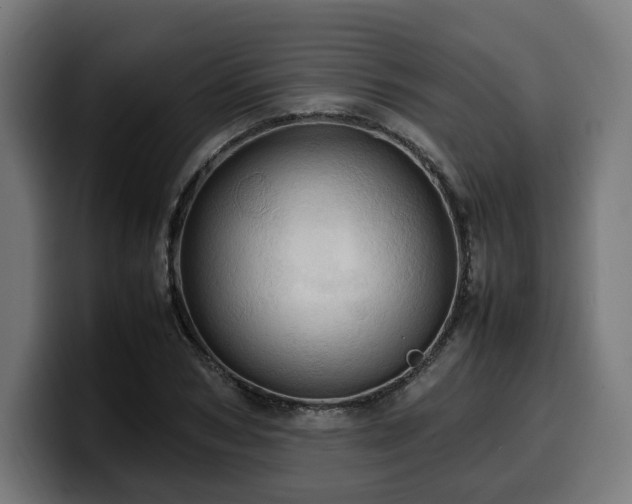 X0000100480978200806131226