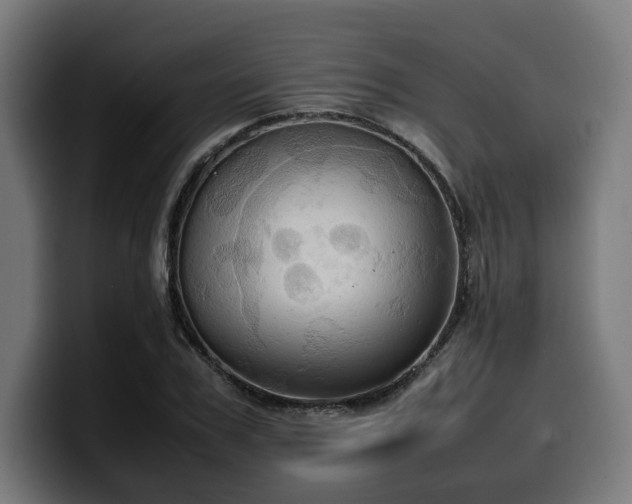 X0000100480979200806131226