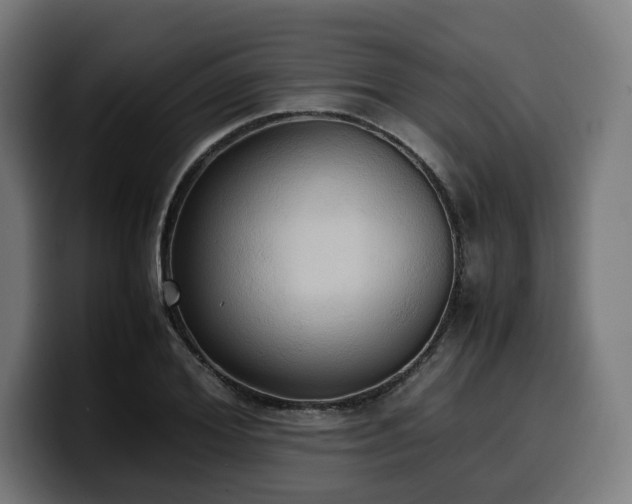 X0000100480980200806131226