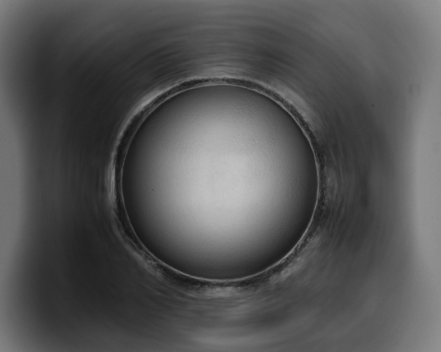 X0000100480982200806131226