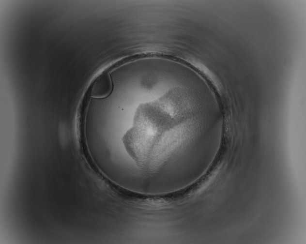 X0000100480983200806131226