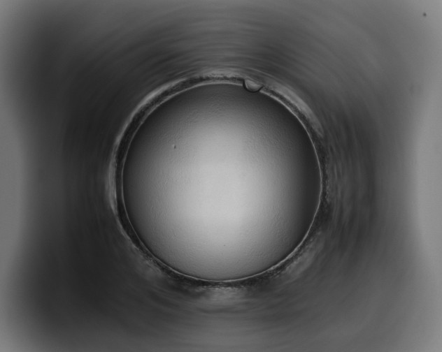 X0000100480984200806131226