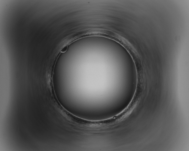X0000100480985200806131226