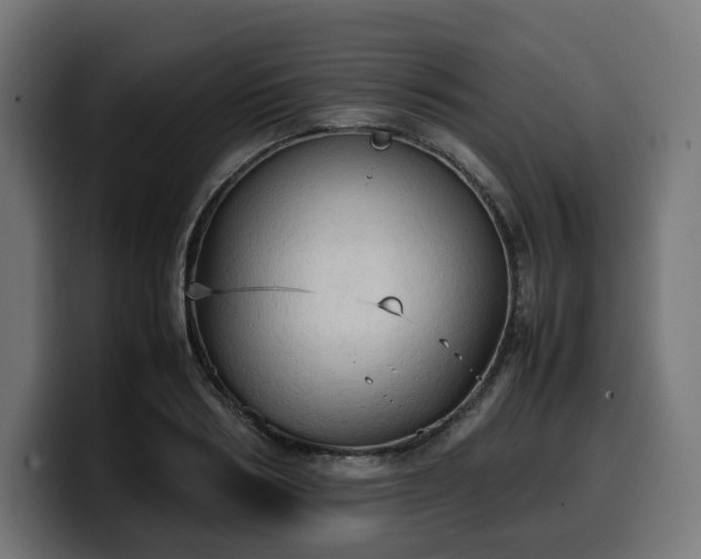 X0000100480986200806131226