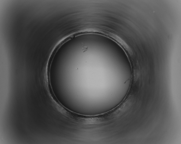 X0000100480988200806131226