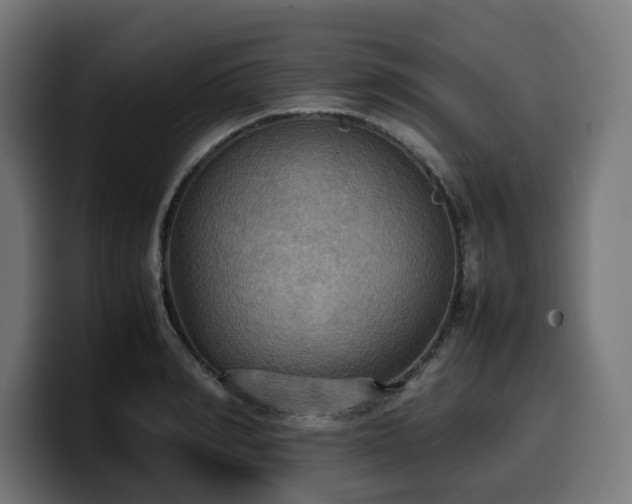 X0000100480990200806131226