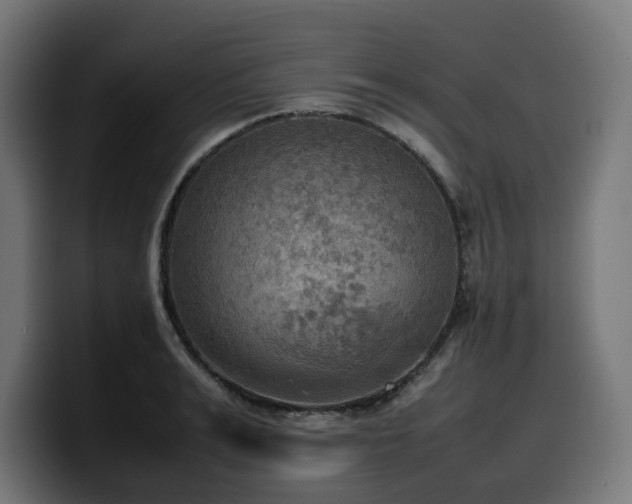 X0000100480991200806131226