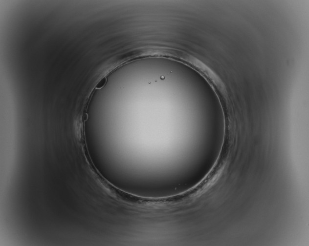 X0000100480993200806131226