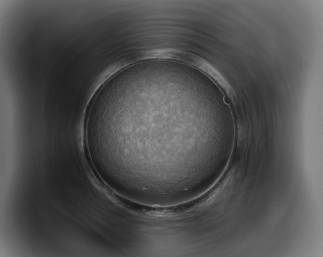 X0000100480994200806131226