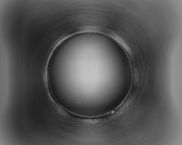 X0000100480996200806131226