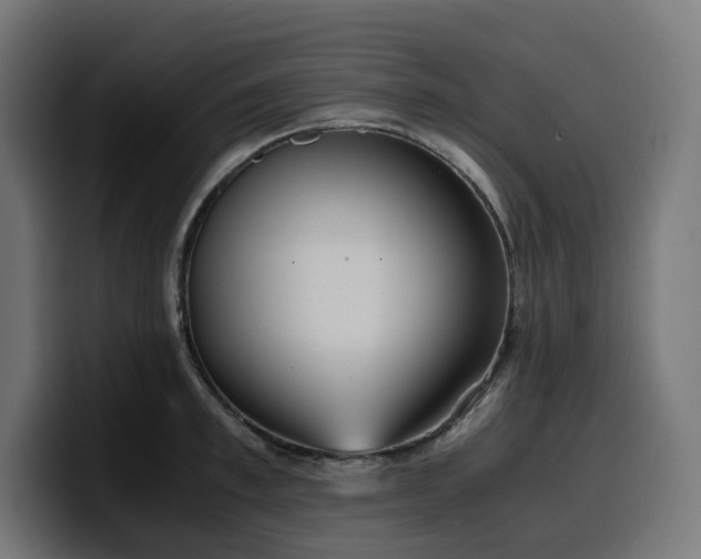 X0000100480997200806131226
