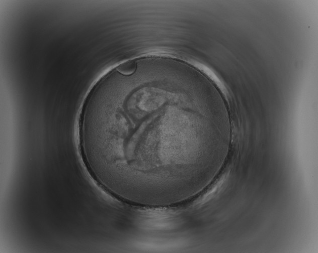 X0000100480999200806131226