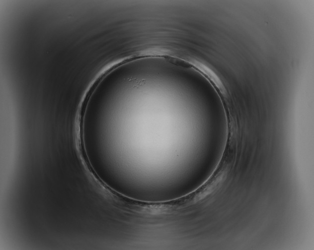 X0000100481000200806131226