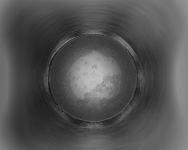 X0000100481002200806131226