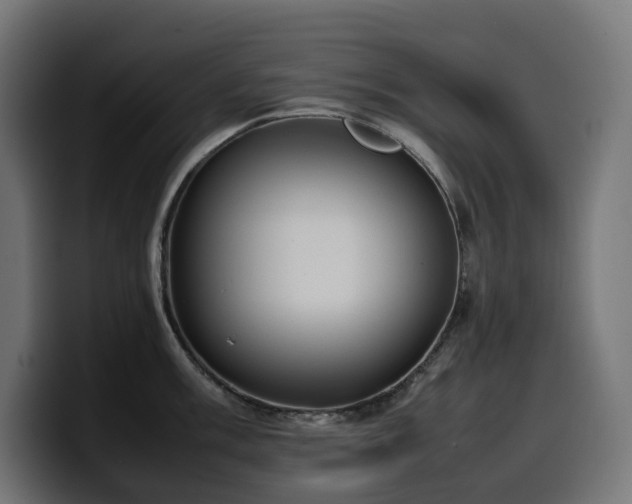 X0000100481003200806131226