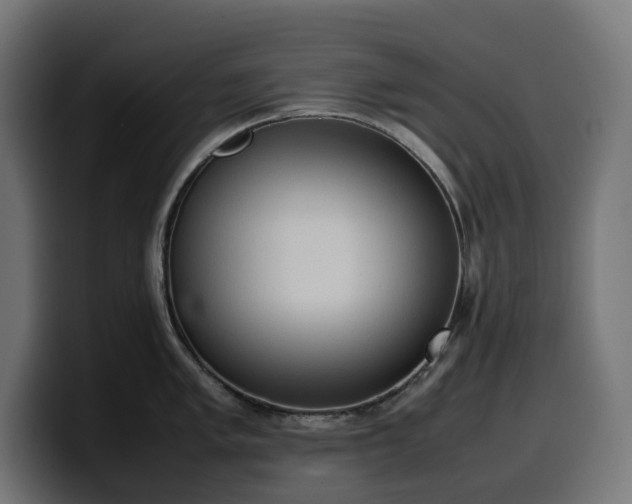 X0000100481005200806131226