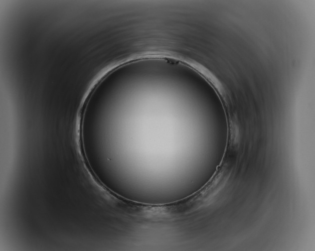 X0000100481006200806131226