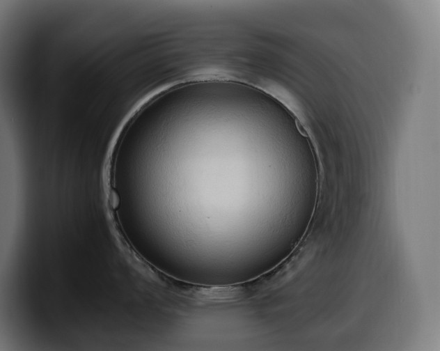 X0000100481008200806131226