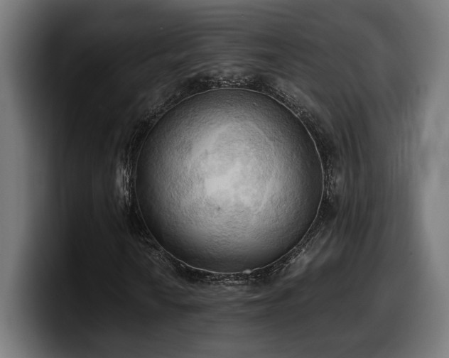 X0000100481010200806131225