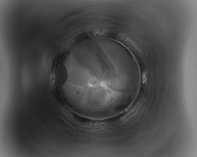 X0000100481011200806131226