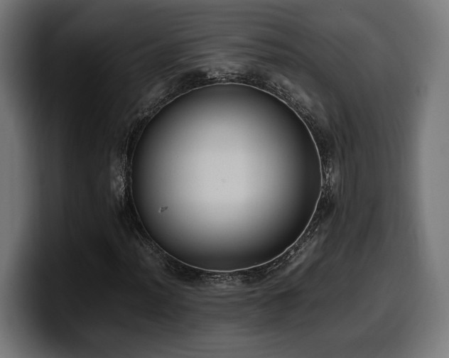 X0000100481012200806131226