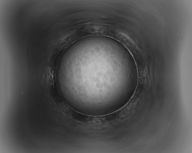 X0000100481013200806131226