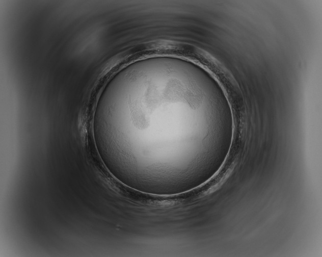 X0000100481017200806131226