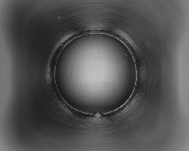 X0000100481018200806131226