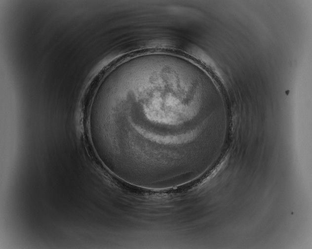 X0000100481019200806131226