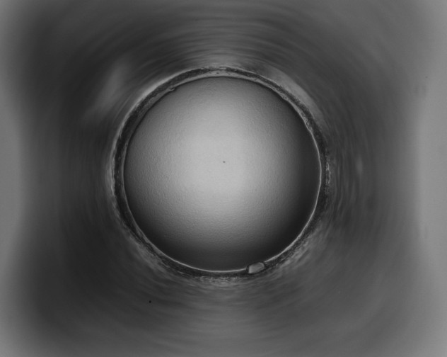 X0000100481020200806131226