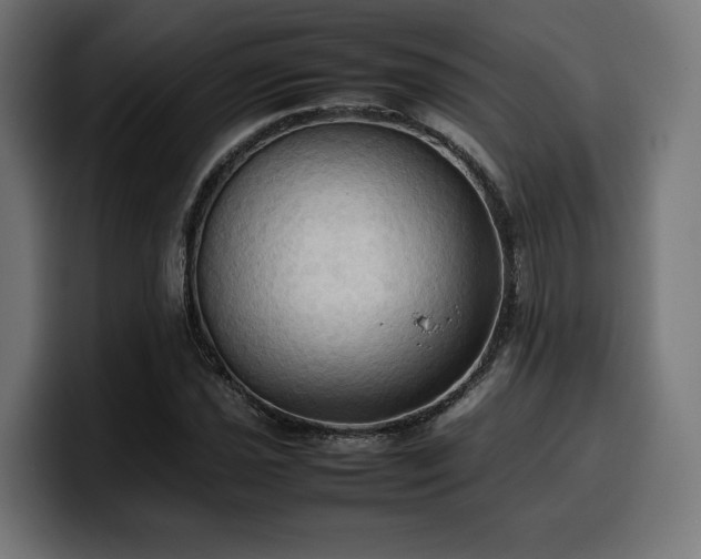 X0000100481021200806131226