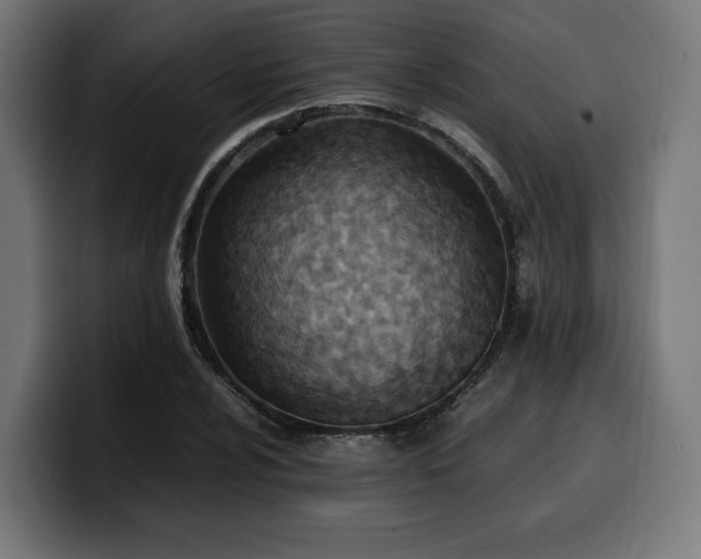 X0000100481024200806131226