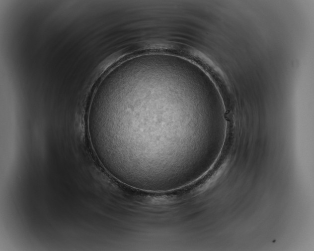 X0000100481025200806131226