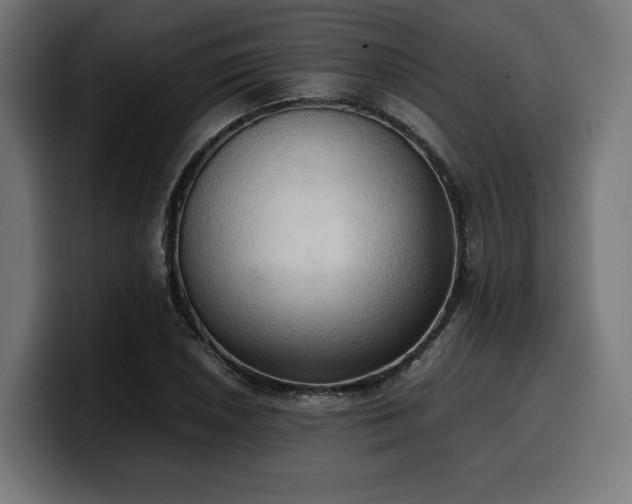 X0000100481026200806131226