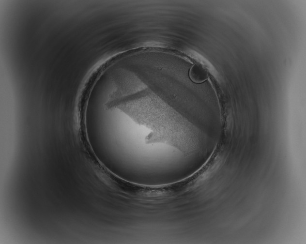 X0000100481027200806131226