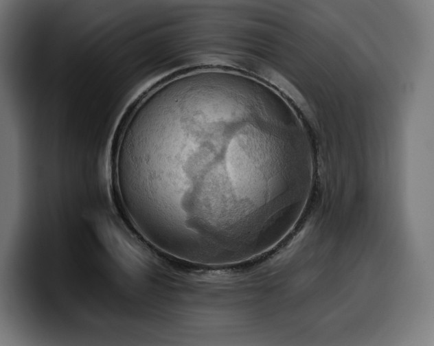 X0000100481028200806131226