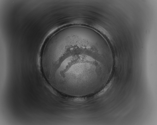 X0000100481029200806131226