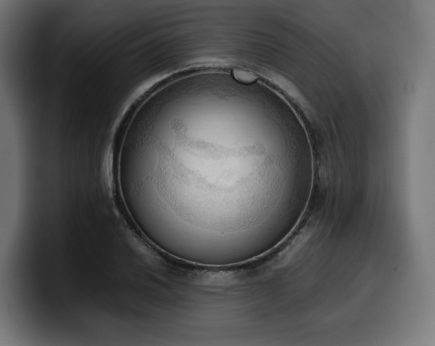 X0000100481030200806131226