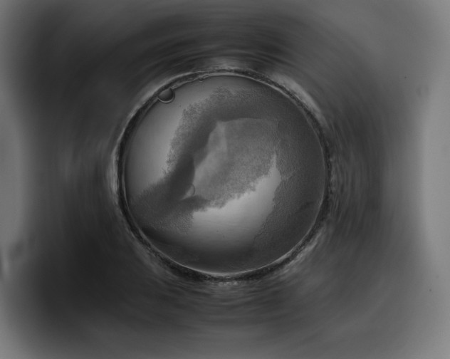 X0000100481031200806131226