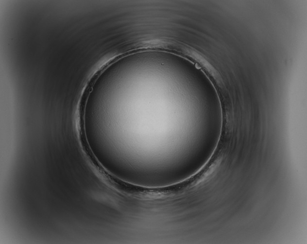 X0000100481034200806131226
