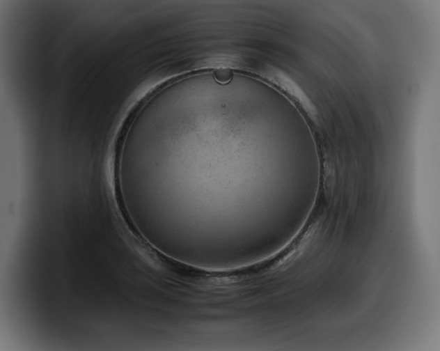 X0000100481035200806131226